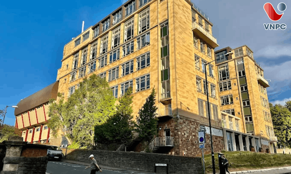 Trường đại học University of Bristol: Điều Kiện, Học Phí, Học Bổng